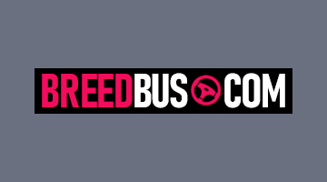 Breed Bus