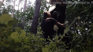 I have sex with my neighbor in the park so her husband doesn't catch us