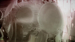 Sexy blonde with big titties, Savannah Gold, wearing fishnet stockings, indulges her food...