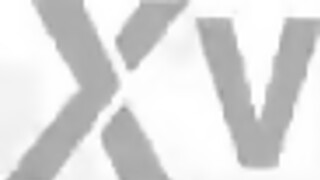 Anal Perfection - Trailer