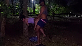 the excitement was so great that we fucked in the public park