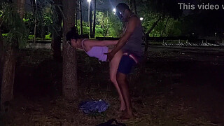 the excitement was so great that we fucked in the public park