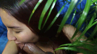 NDNgirls 17 Native American Indian Girls - Rare Blackfoot, Cree, and Cherokee Native American pornstars, MILFs, and amateurs get creampie by BBC