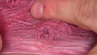 WOULD YOU EAT MY PUSSY ?