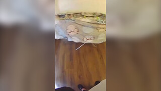 Friend fucks wife. Real cheating