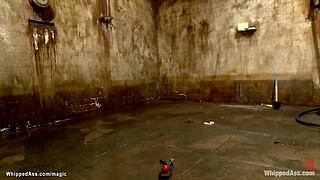 Busty anal lesbian bound and whipped