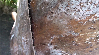 How To Have Fun With Your Redhead Step Sister - Selena Love - Family Therapy - Alex Adams