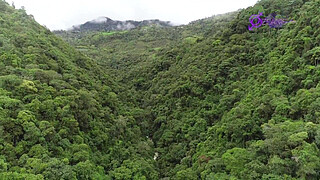 Colombian Explorer (Tatiana Morales) Lara Croft cosplay