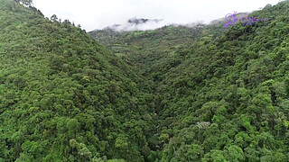 Colombian Explorer (Tatiana Morales) Lara Croft cosplay