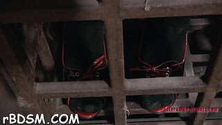 Submissive bdsm porn