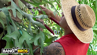 BANGBROS - Gardener Bruno Dickemz Fucks Latina Pornstar Valerie Kay