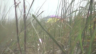 Exhibitionist Wife 484 Part 5 - Mrs Ginary and Mrs Nikki Brooks Teasing Nude Beach Voyeur! Spreading legs and teasing cocks in public!