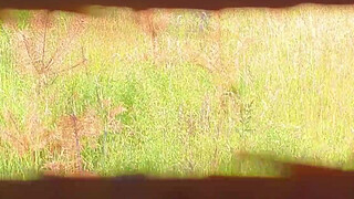 StepSister and StepBrother Help Each Other To Cum On Pantyhose