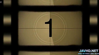 Japanese Naughty Nipples Vol 24