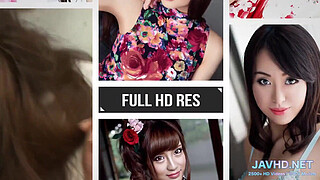 Sweet and Juicy Japanese Milfs Vol 13