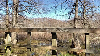 Bbw gets caught fucking a bbc