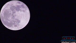 Sporty swinger couple use toys on others couples in orgy