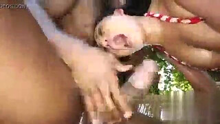 Hardcore pussy banging