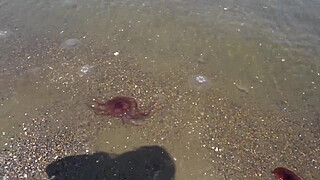 Part 1: The inevitable fall of the cheat body, here.