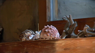 Young brunette fucks hard with a guy and sucks cock