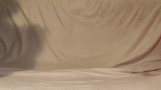 Pornellia does her first anal scene