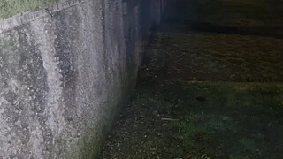 HORNY EXHIBITIONIST LOOKING FOR A VOYER | PUBLIC CUMSHOTS IN THE PARK AND MOANS - PUBLIC JERK OFF AND WALK WITHOUT PANTS WITH DICK ON SHOW