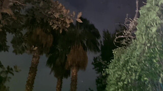 HORNY EXHIBITIONIST LOOKING FOR A VOYER | PUBLIC CUMSHOTS IN THE PARK AND MOANS - PUBLIC JERK OFF AND WALK WITHOUT PANTS WITH DICK ON SHOW