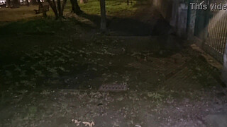 HORNY EXHIBITIONIST LOOKING FOR A VOYER | PUBLIC CUMSHOTS IN THE PARK AND MOANS - PUBLIC JERK OFF AND WALK WITHOUT PANTS WITH DICK ON SHOW