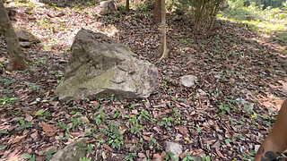 Teen Car Washer Takes Big Dick In Her Throat And Gets Fucked In The Forest