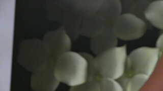 Asian Milf Kim Tao Crotchless Panties Massage