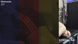 Training in Action Complete Collection Bundle III: Buy 3, Get 1 Free!