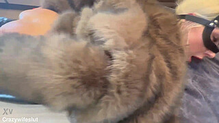 Different sizes dildos anal fuckmachine full session