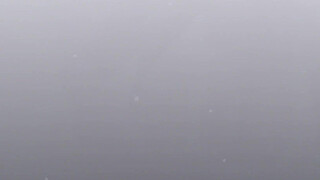 Fleshlite Girls: Lisa Ann and Nikki Benz