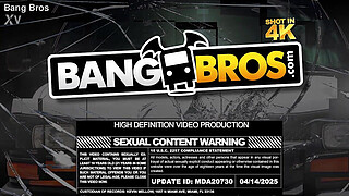 The Replacement Maid