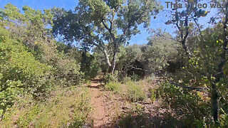 Outdoor Camper Gets Internal Creampie Public Forest