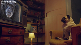 Green-eyed blonde – Lily Bell sucks my penis like a filthy little bitch | Benefit Monkey